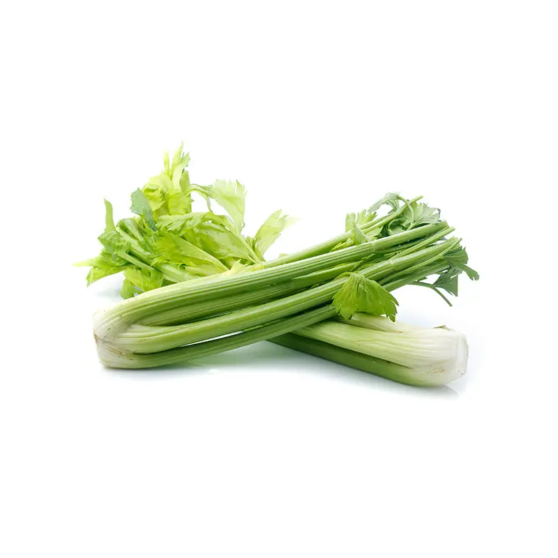 VEGETABLES - CELERY CASE 24 EA