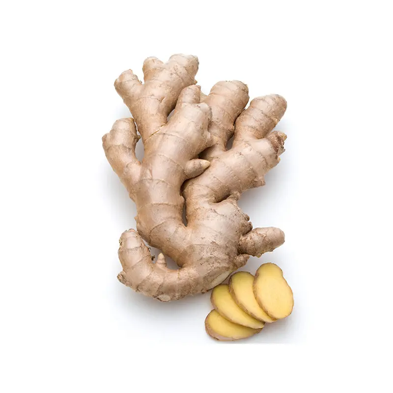 VEGETABLES - GINGER FRESH CASE