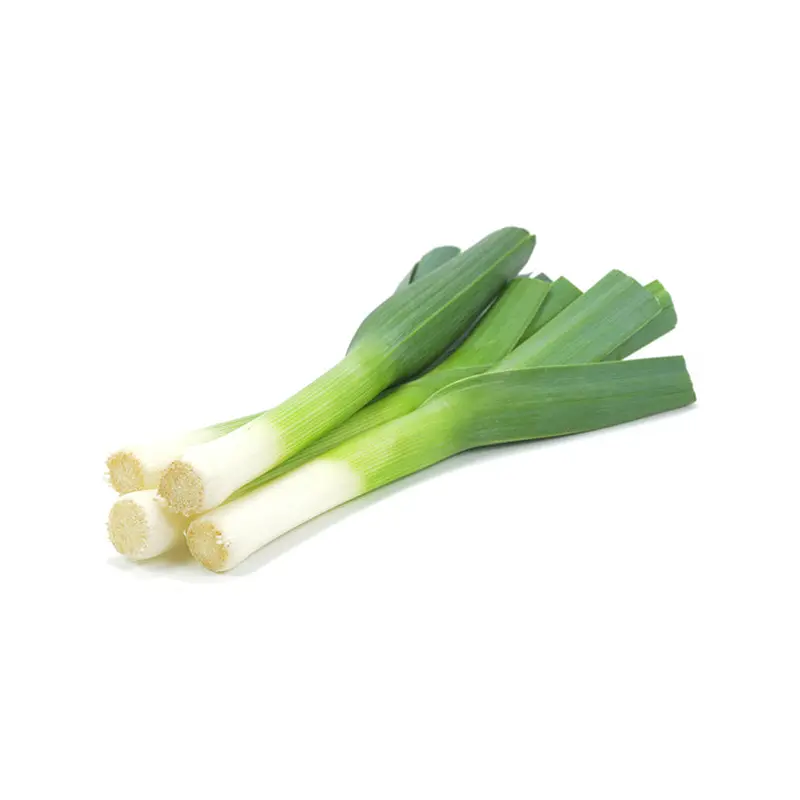 VEGETABLES - LEEKS CASE 12 EA