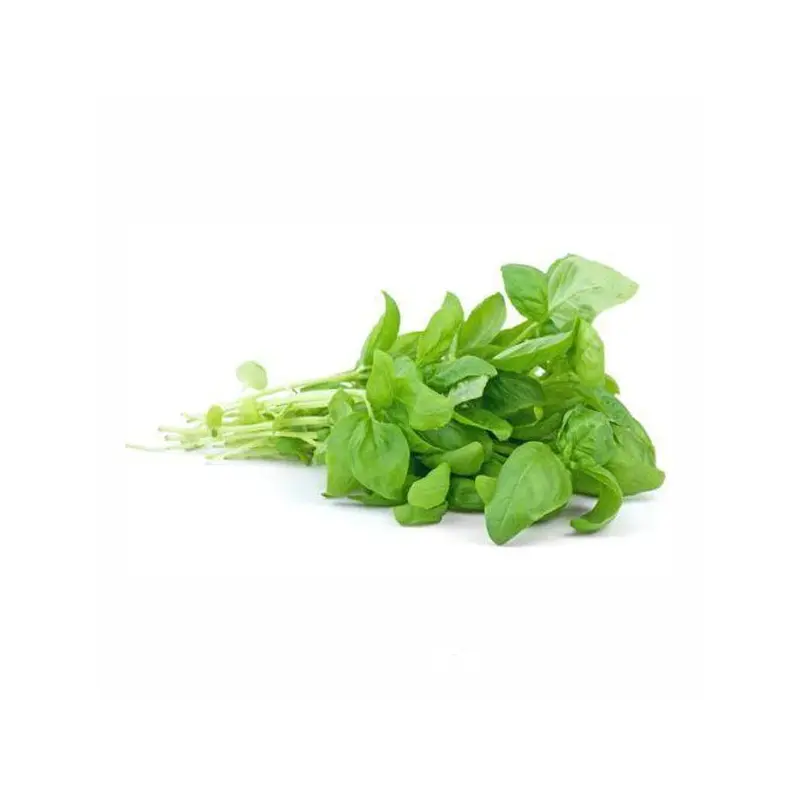 VEGETABLES - BASIL GREEN REPACK 3  EA