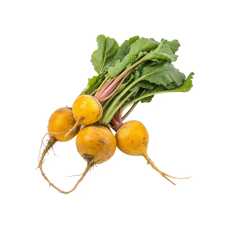 VEGETABLES - BEETS  GOLDEN 2.5 LB