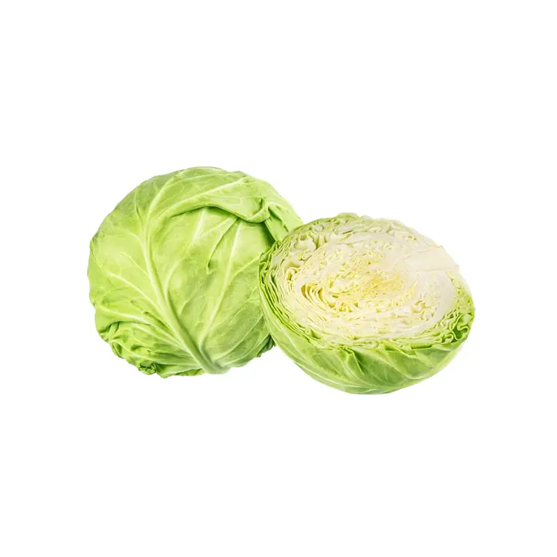 VEGETABLES - CABBAGE GREEN 1  EA