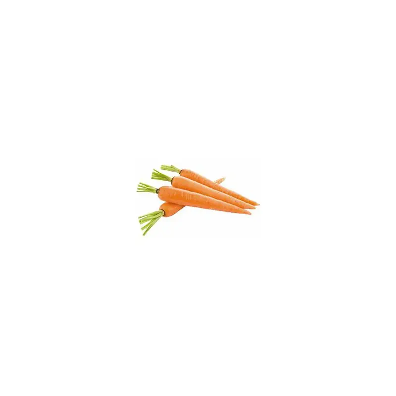 VEGETABLES - CARROTS 10 LBS