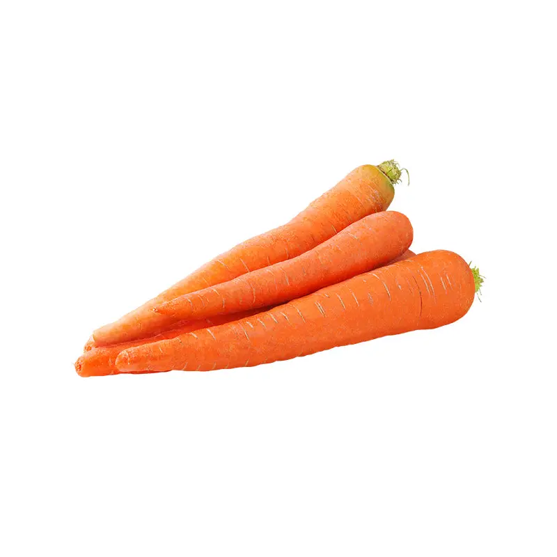 VEGETABLES - CARROTS 24/2 LB