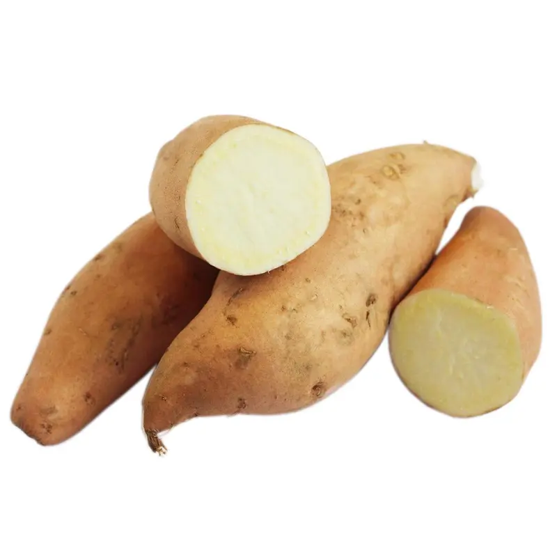 White Sweet Potato (white skin) Khoai Lang Trang 100g x1