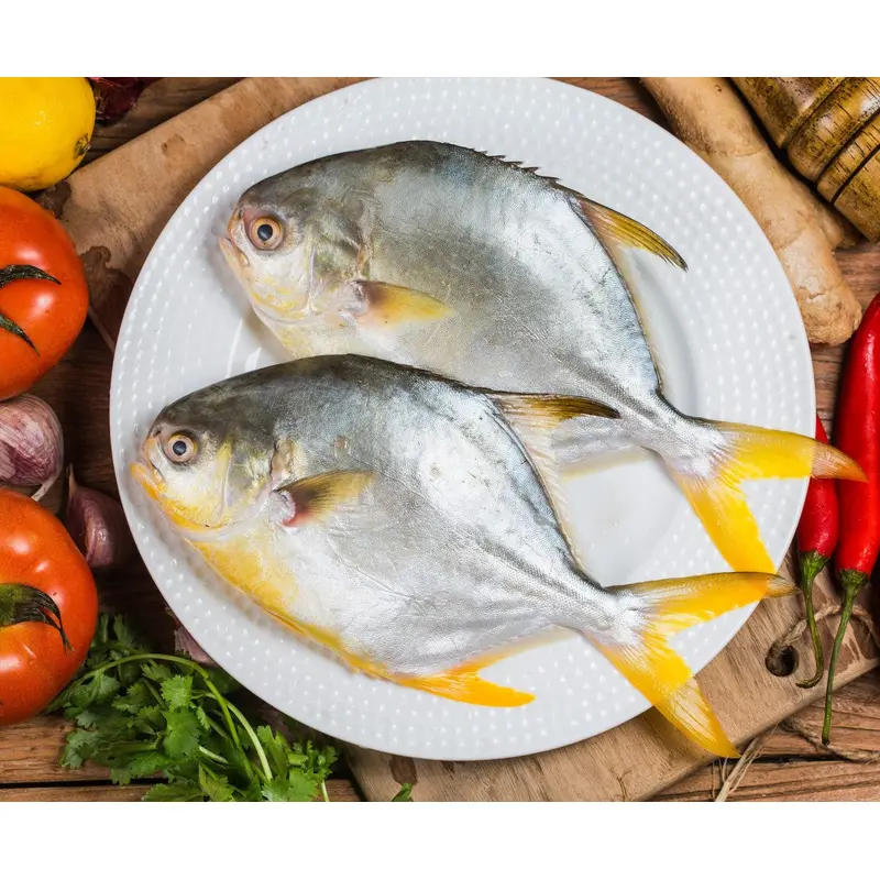 Seagem Frozen Golden Pomfret (400/500g) x 1 Pc