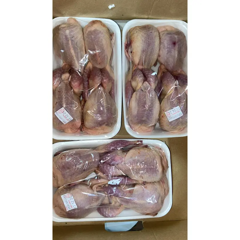 Quail  (4pcs x 1 )