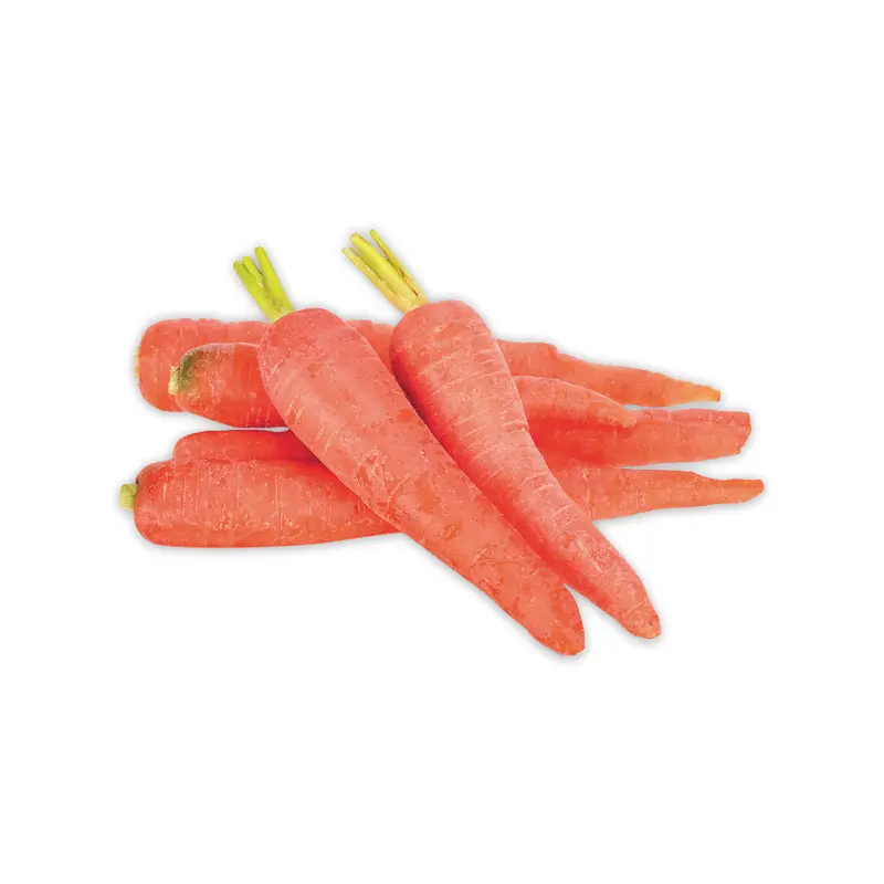 INDIAN CARROT