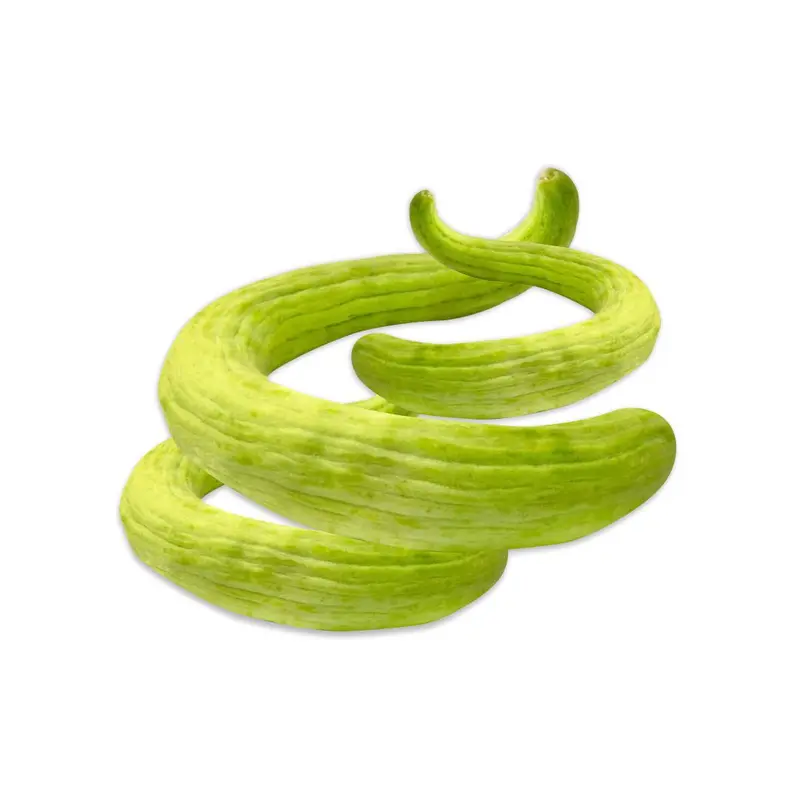 INDIAN CUCUMBER TAR /KAKDI