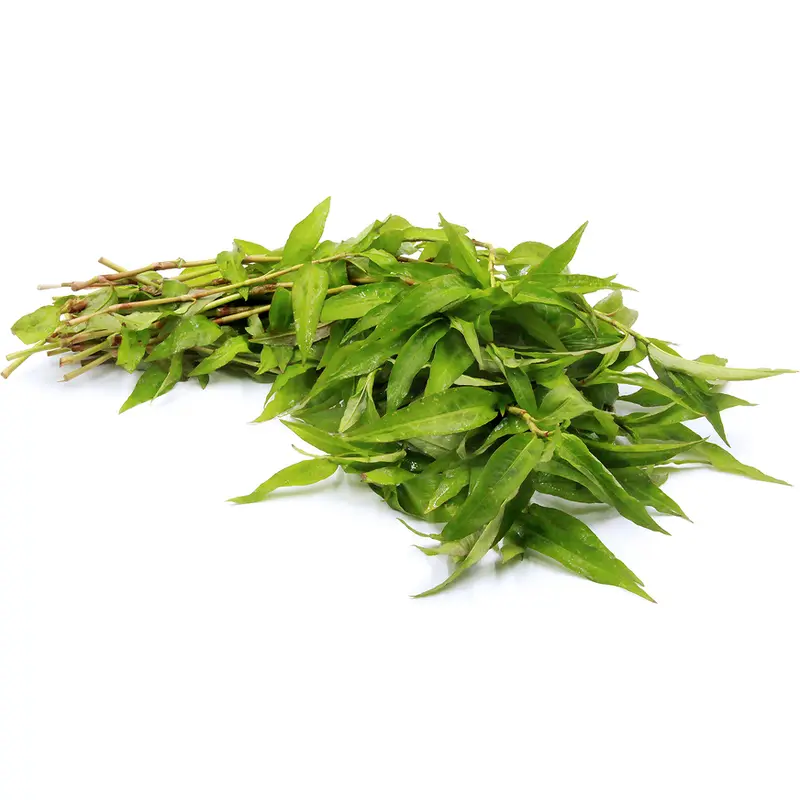 MT Fresh Vietnamese Coriander (Praew Leaf/Pak Paew)  Rau Ram 100g x 1