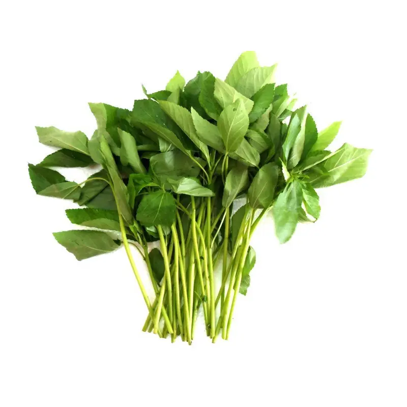 MT Fresh Tossa Jute/Kang Kung Rau Day 200g x 1