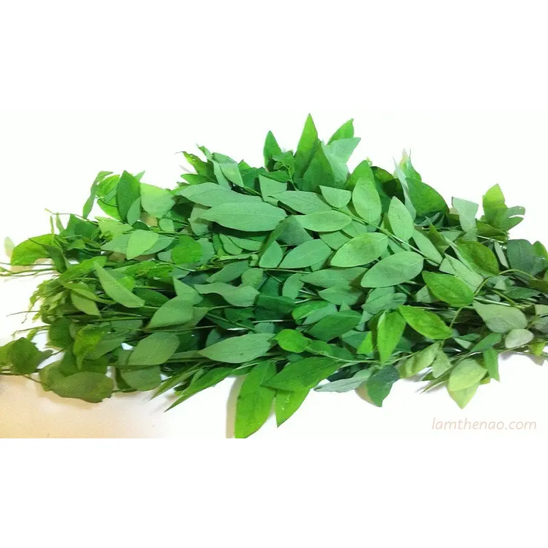 MT Fresh Sauropus Pakwan  Rau Ngot 200g x 1