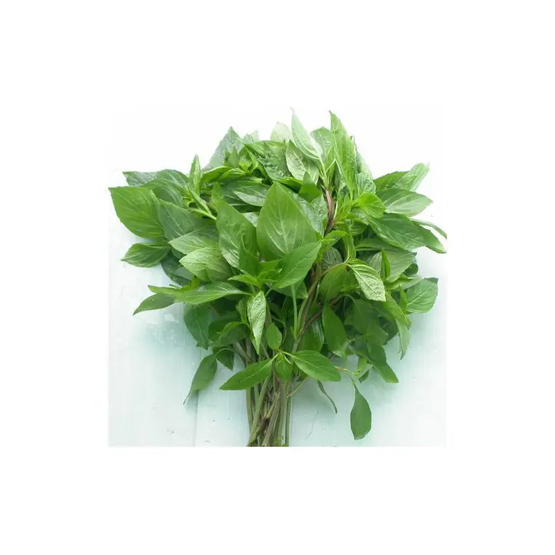 MT Fresh Sweet Basil   Rau Hung Que Viet Nam 100g x 1