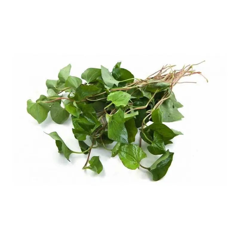 MT Fresh Fish Mint  Rau Diep Ca (Dap Ca) 100g x1