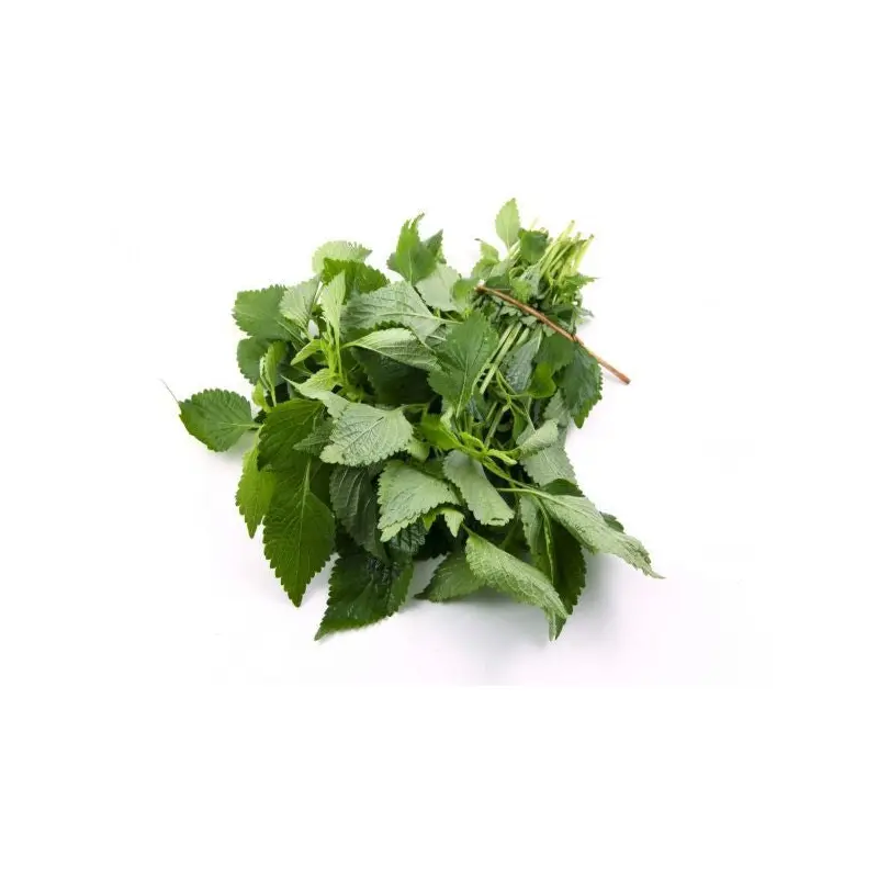 MT Fresh Kinh Gioi Leaf  Rau Kinh Gioi 100g x 1