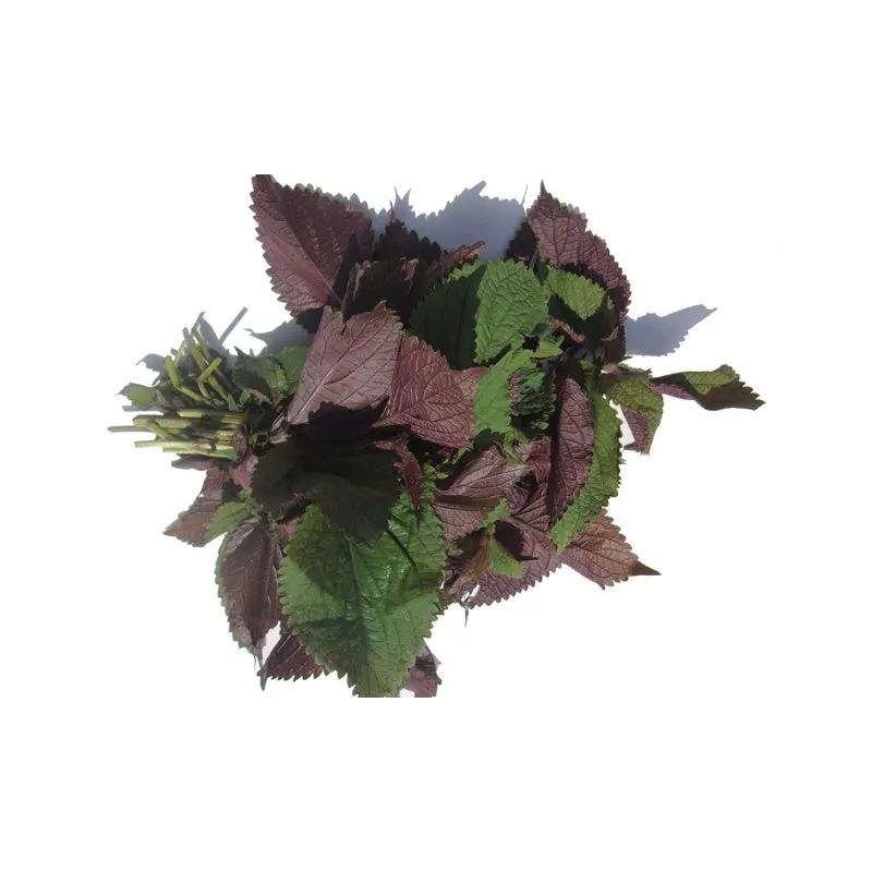 MT Fresh Perilla Leaf  Rau Tia To 100g x 1