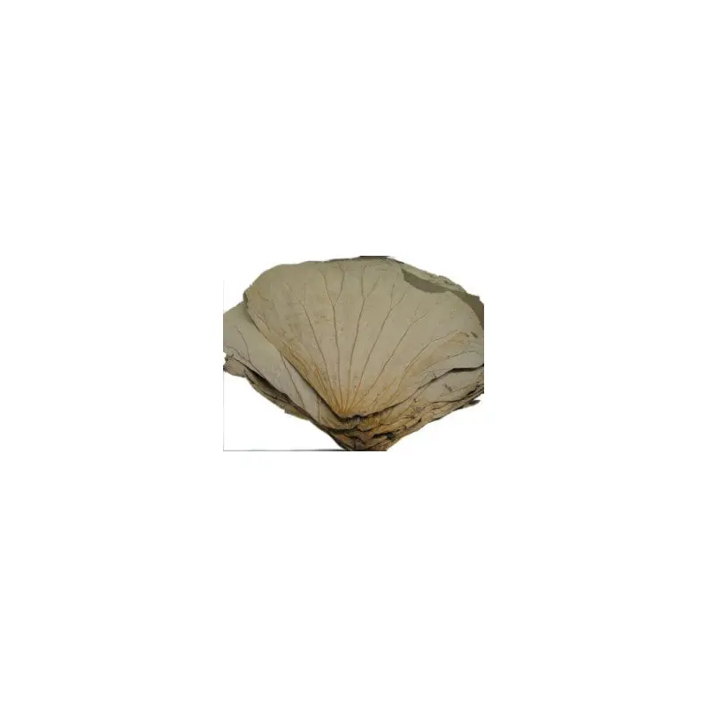 138411 Lotus Leaf La Sen Kho 454g x30