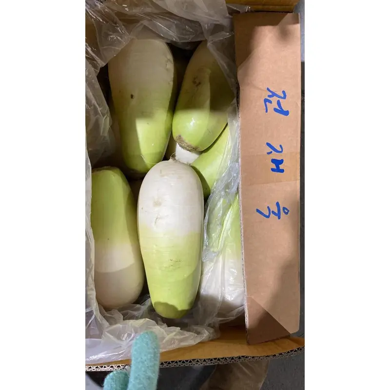 Korean Radish 100g x 1