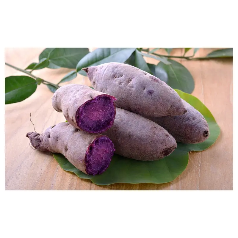 Fresh Sweet Purple Potato  Khoai Lang Tim 100g