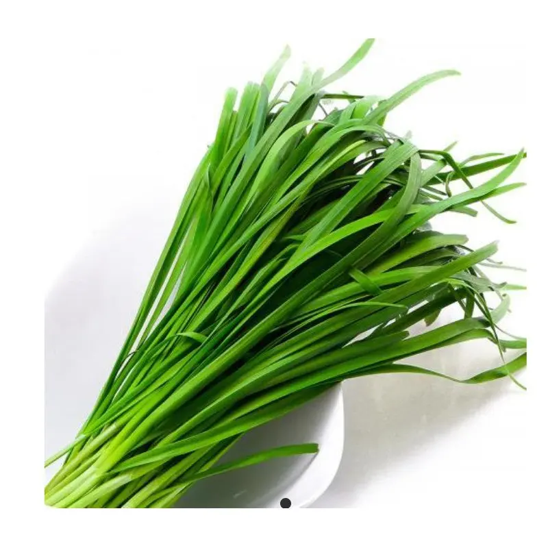 Fresh Thai Chive  200g x 25 (5kg)