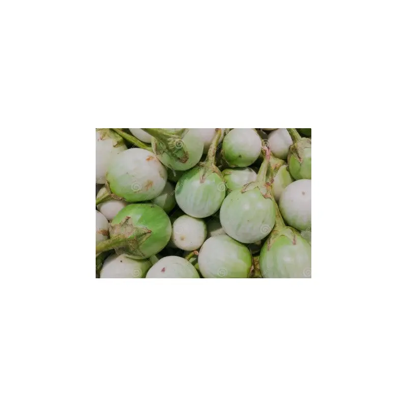 Fresh Thai Round Egg Plant Ca Phao Tuoi 200g x 1