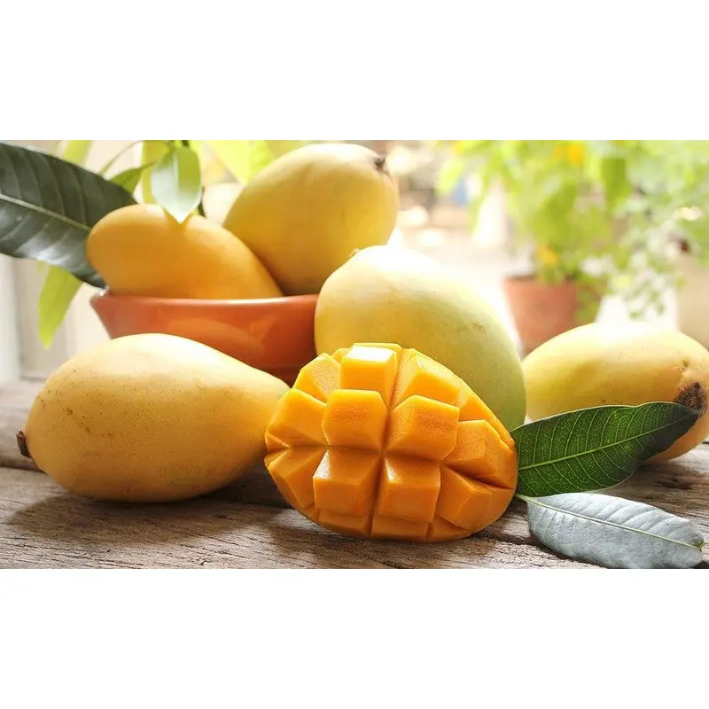 Fresh Thai Yellow Ripe Mango  Xoai cat Hoa Loc 1 box