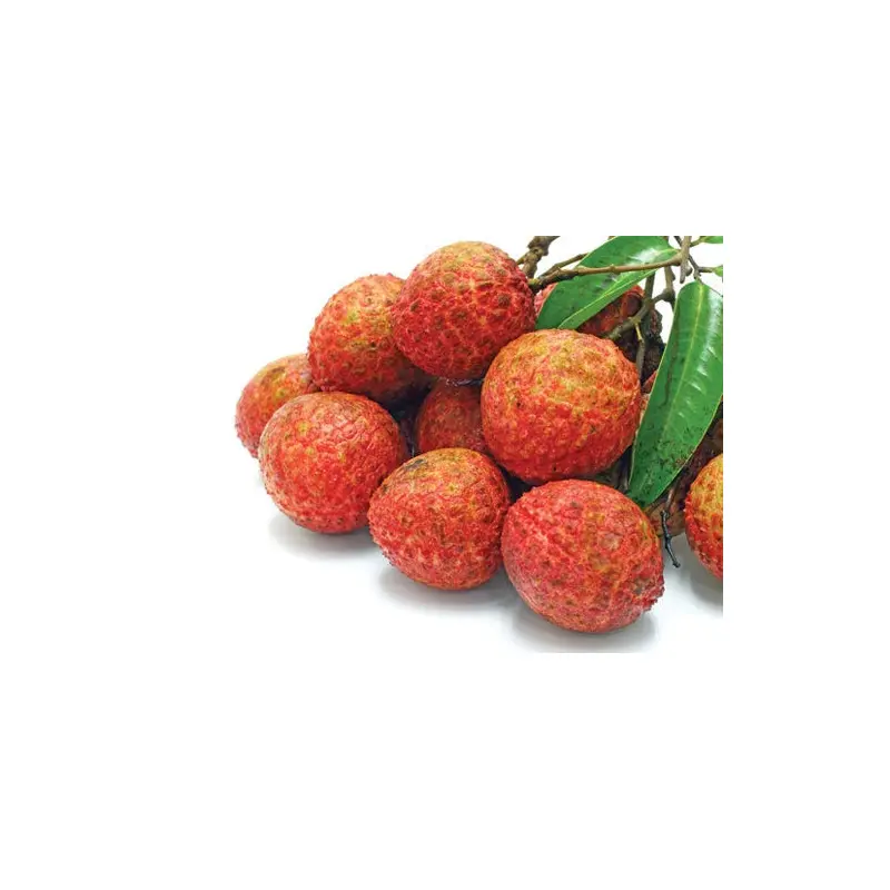 Fresh Lychee Vai thieu tuoi  450g x 1