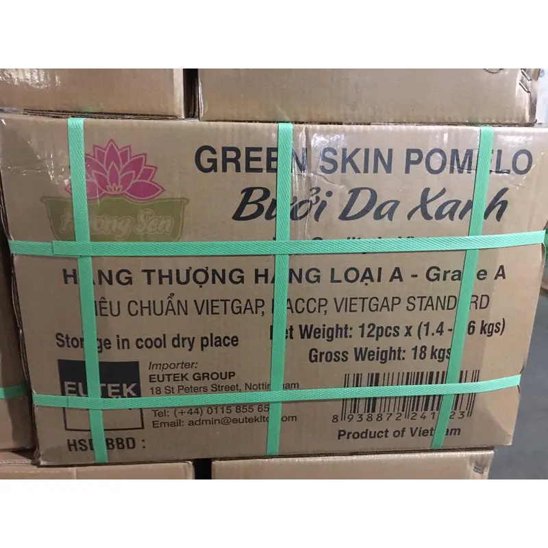 Fresh Pomelo Buoi da xanh Viet Nam Size 1.4kg - 1.6kg  Nguyen Thung 12 pcs (Box)