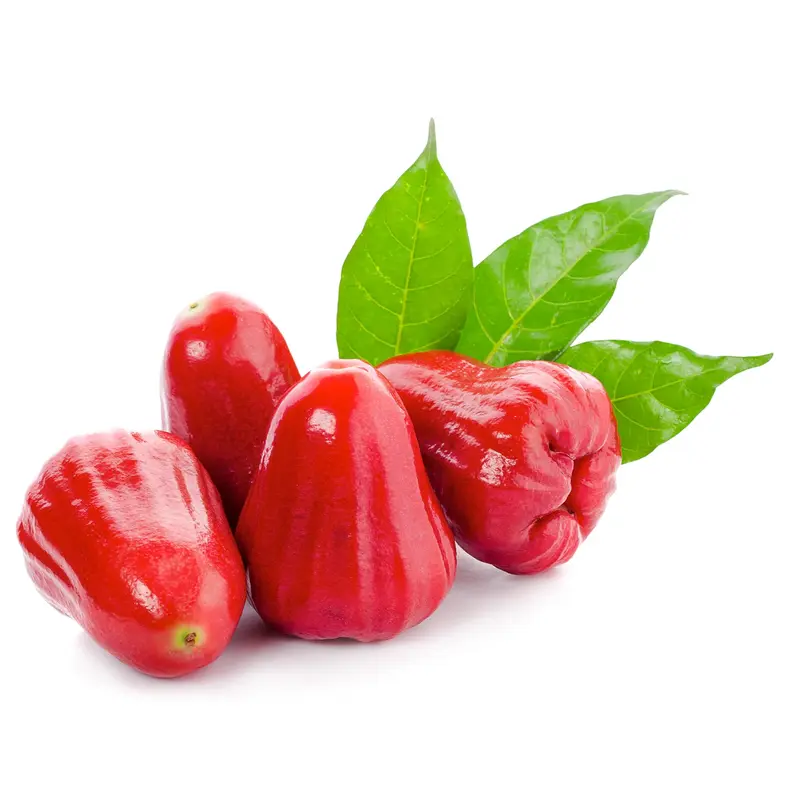 Fresh Rose Apple Man Do