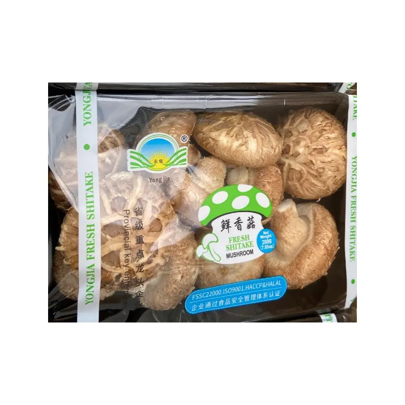 Fresh Shitake 125g x 1box