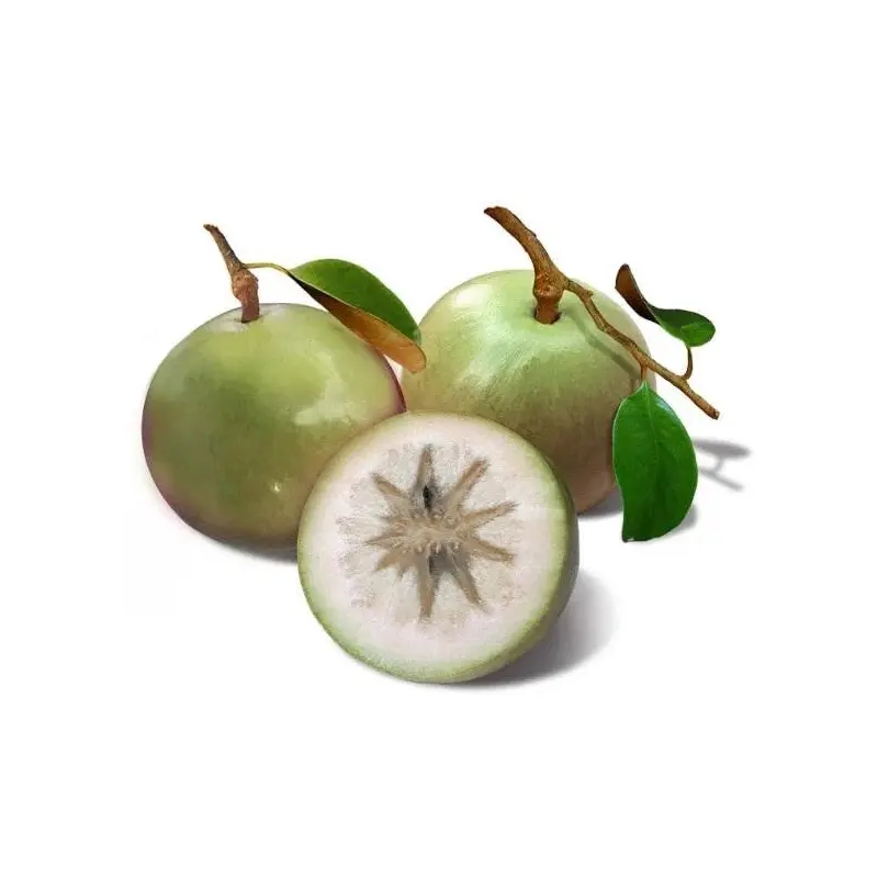Fresh Star Apple  Vu Sua Tuoi VN 1kg x 1