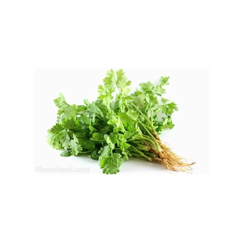 10674 Fresh Coriander bo bunch Rau Mui (ngo ri) x 1 bundle