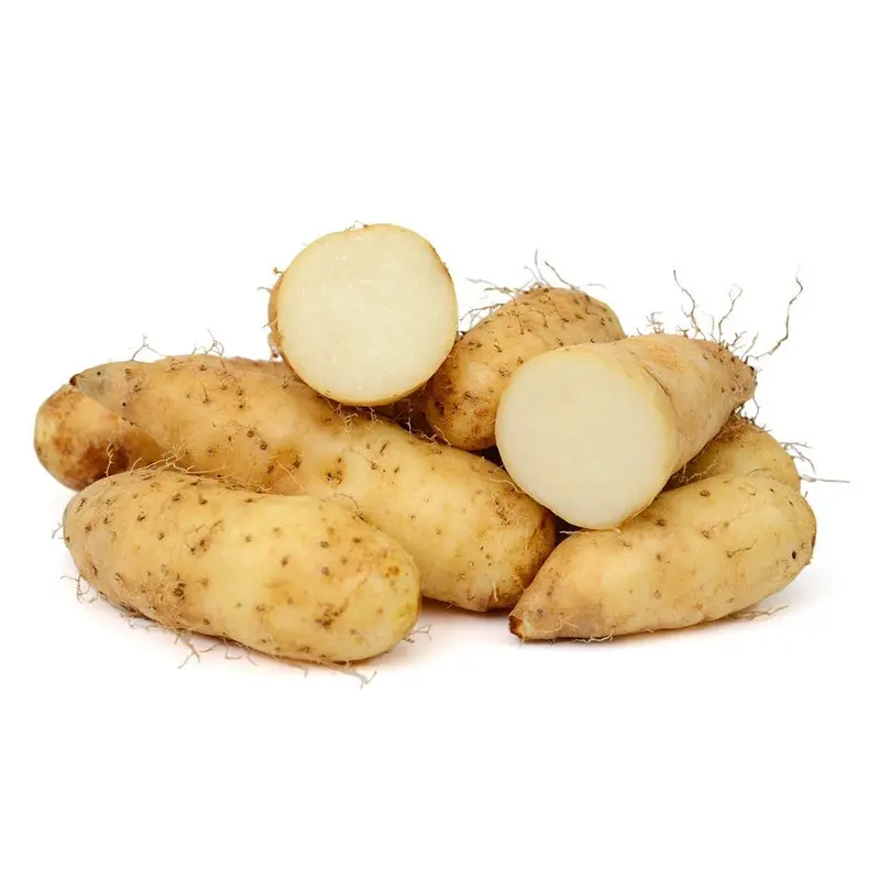 Fresh Chinese Yam Khoai Tu