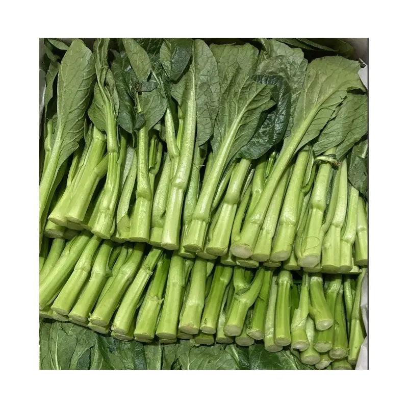 Fresh Choi Sum (Chinese)  Cai ngot 5kg (Big Box)