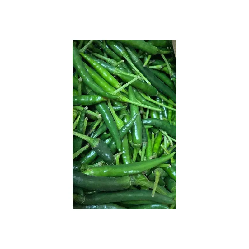 Fresh Green Chillli  100g