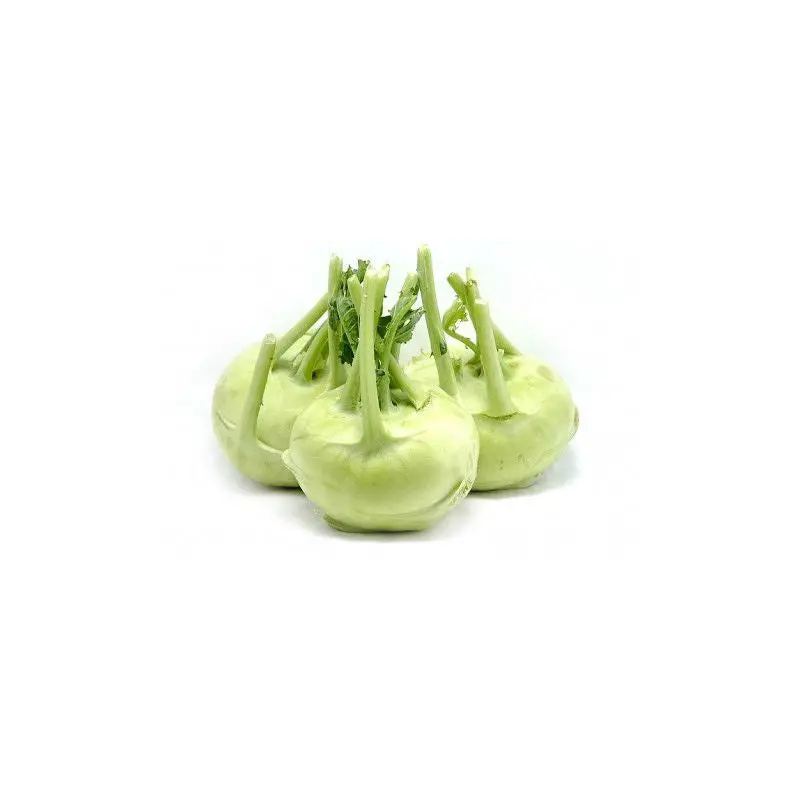 Fresh Kobrabi Su Hao x 1 pc