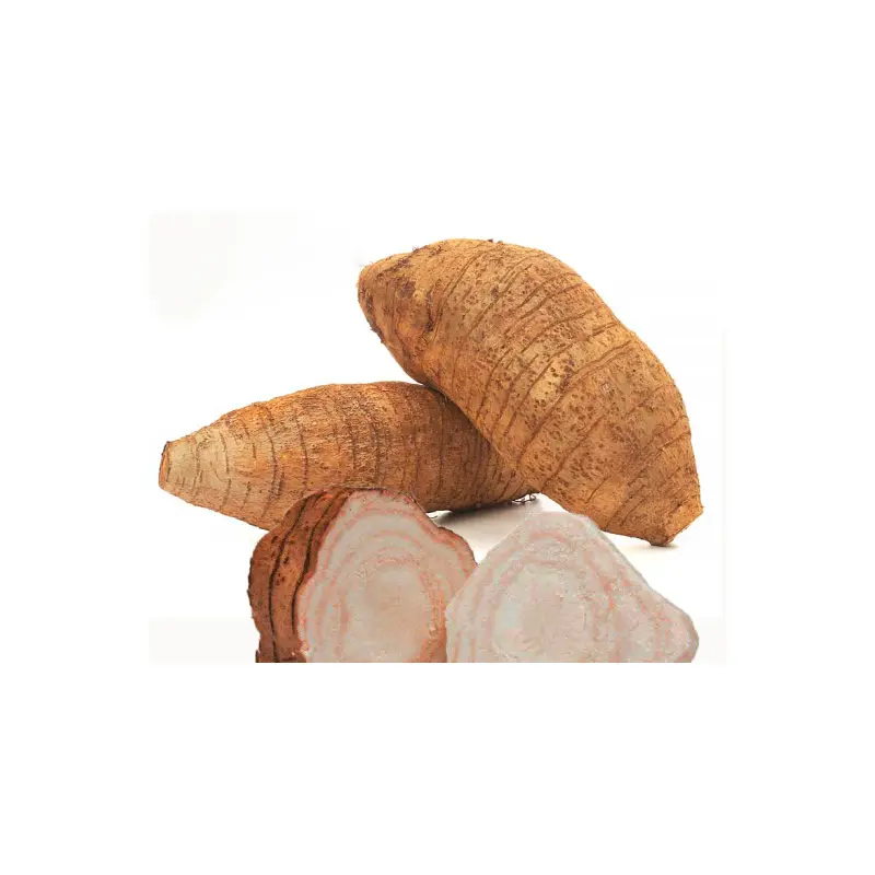 Fresh Arrow RootCu dong 100g x1