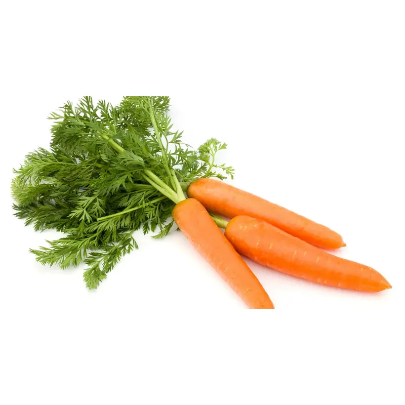 Fresh Carrot