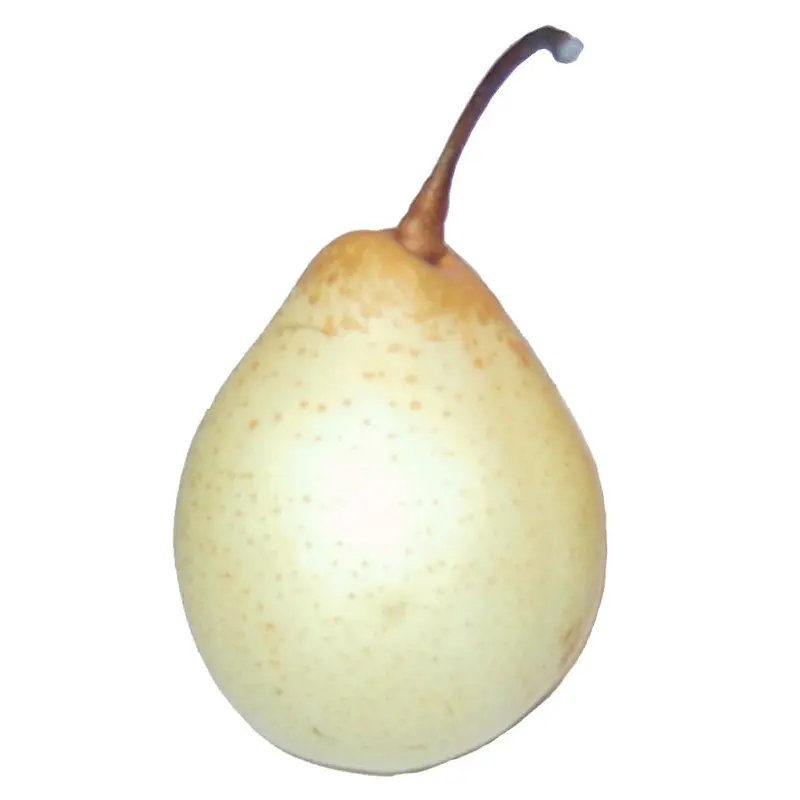 Chinese Pear (Ya-Pear)  4 pc in pp box  x1