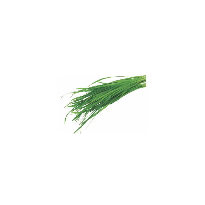 BJ Fresh Chive Leaf La He 100g x 1
