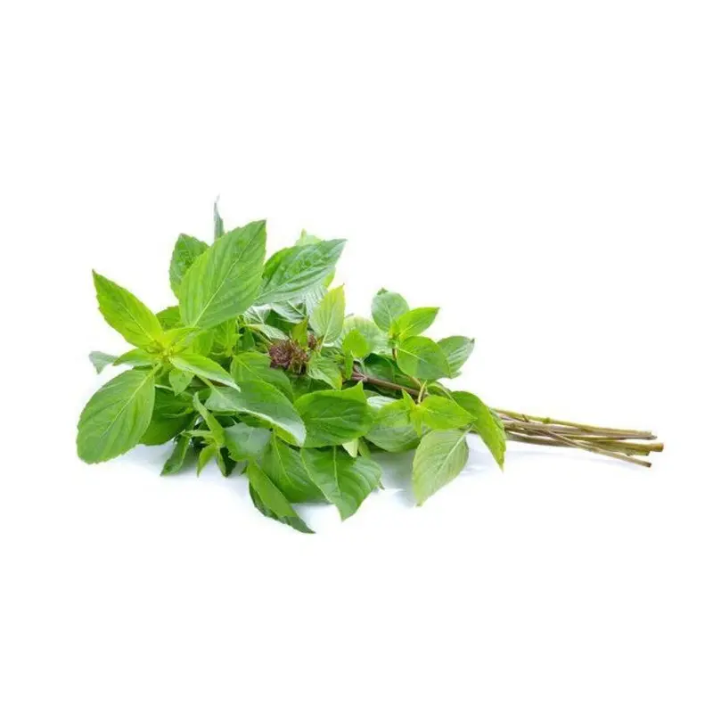 BJ Fresh Sweet Basil Rau Hung Que Thai 1x100g