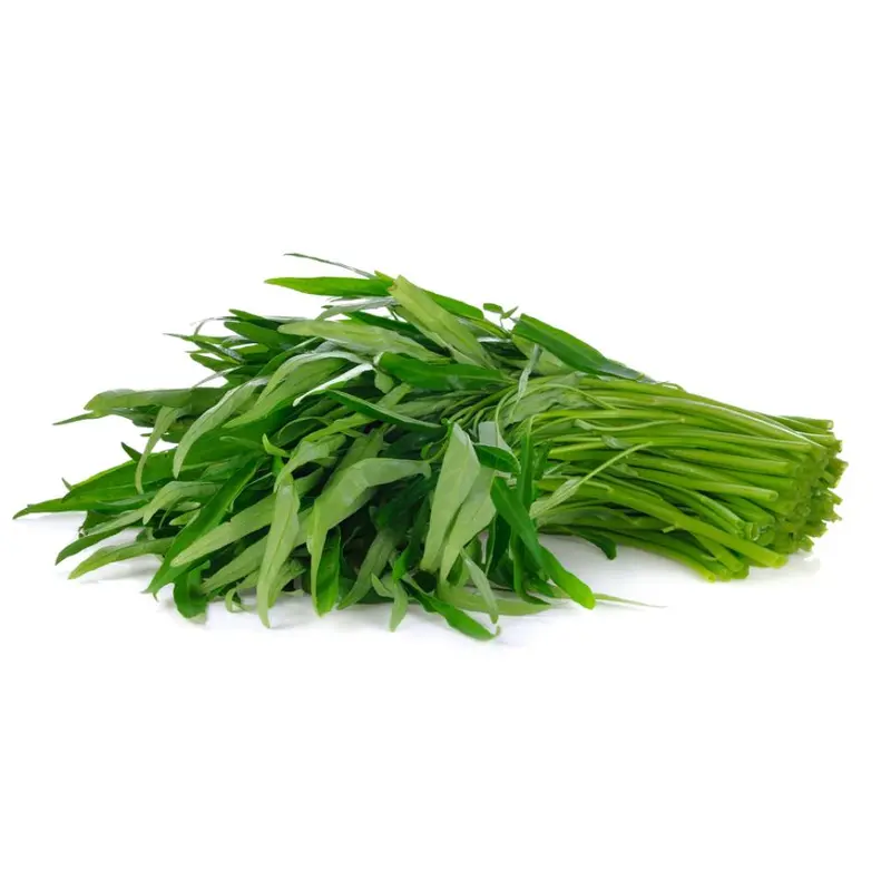 BJ Fresh Thailand Morning Glory Ong Choi Thailand () Rau Muong Thai 1x200g