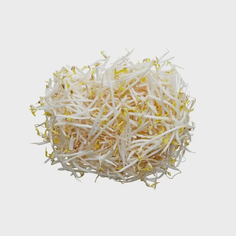 Bean sprout ( gia do ) 4kg x 1