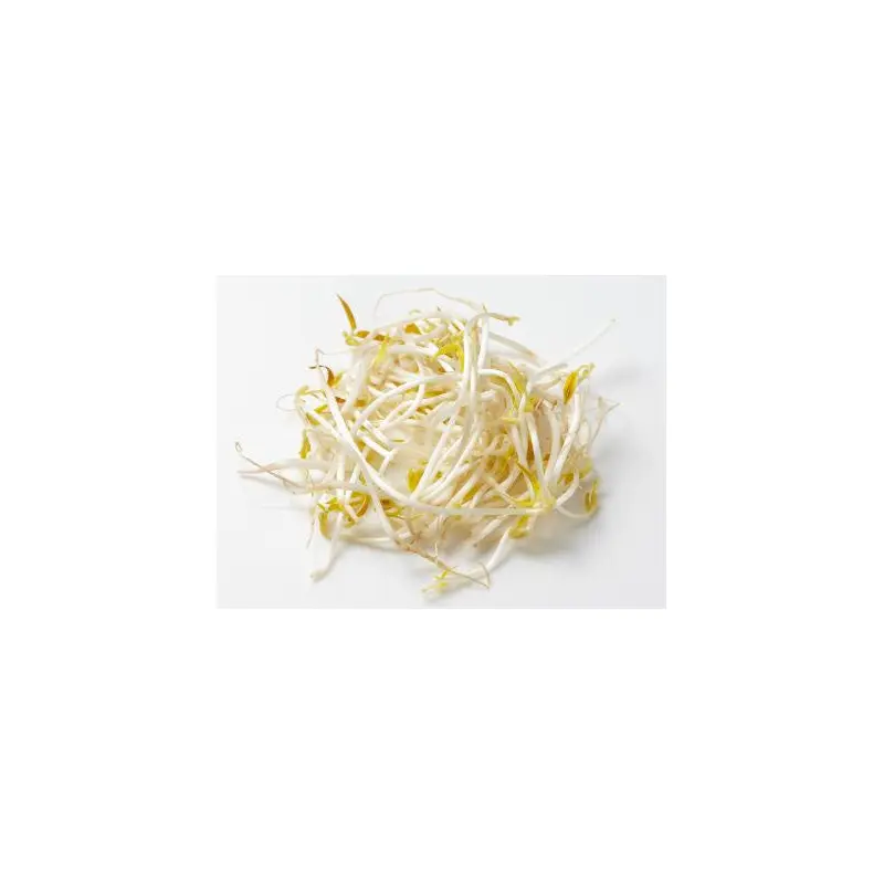 Bean sprout ( gia do ) 500g x 1
