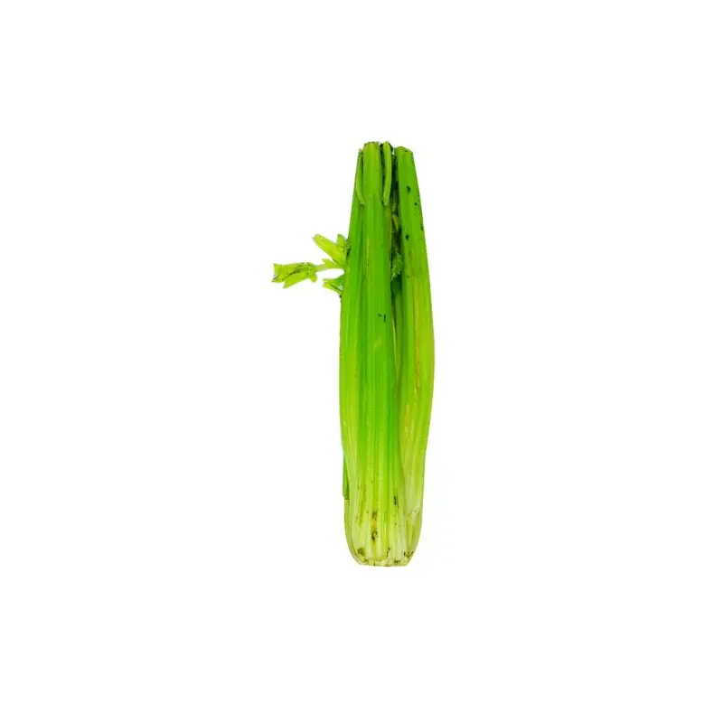 China Celery 1kg-1.2Kg