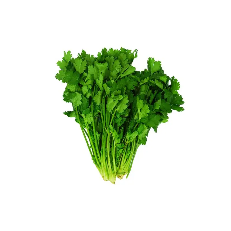 Chinese Parsely Coriander Leaf 150g 200g