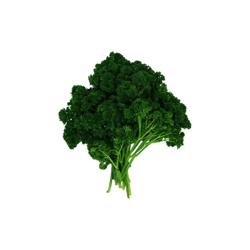 English Parsley 250g-350g