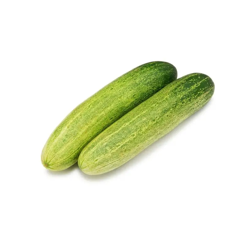 Fresh Cucumber 1200kg 1300kg