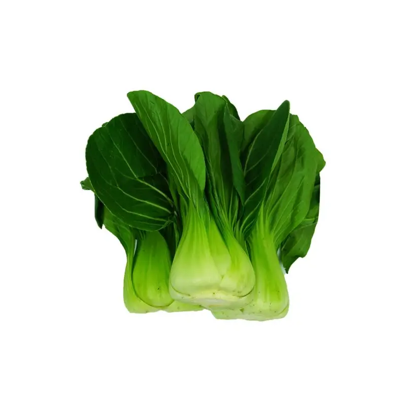 Hong-kong-green-pak-choi-600g-700g