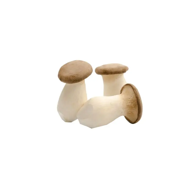 King Oyster Mushroom 200g